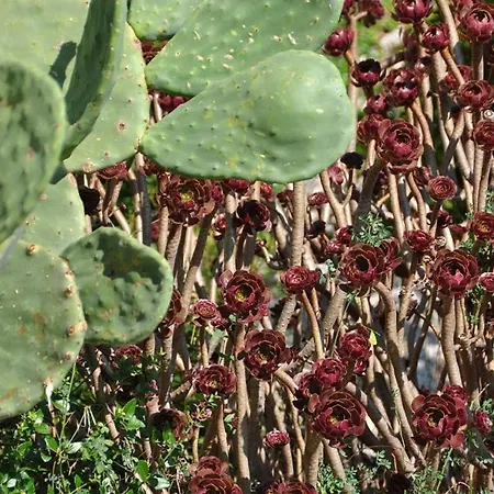 Pasadur 8351a Apartamento Uble