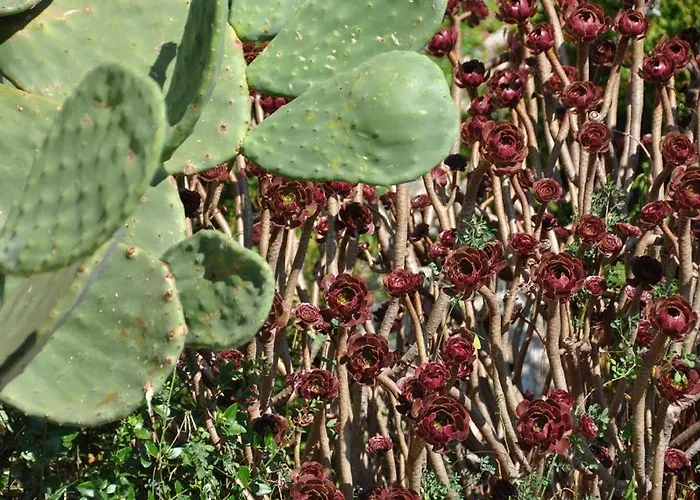 Pasadur 8351a Lejlighed Uble